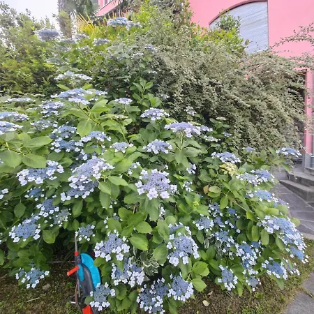 Residence Venus Garden-2